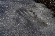 23 E ci lascio l'impronta della mano